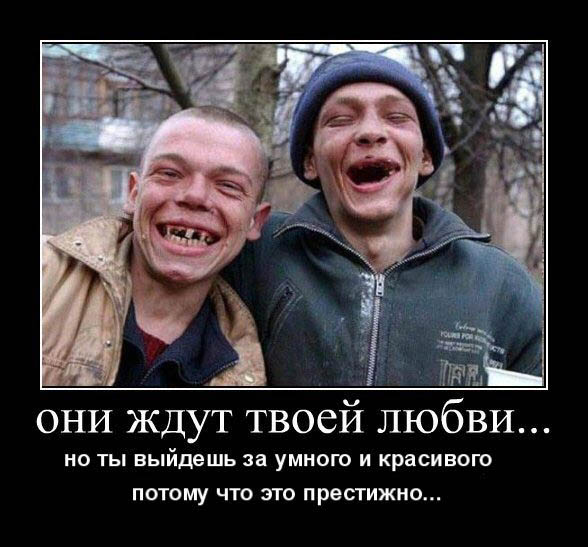 Прозвучала фраза