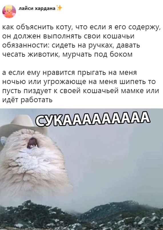 Немного картинок для настроения
