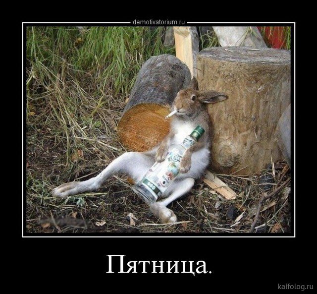 Клуб анонимных алкоголиков