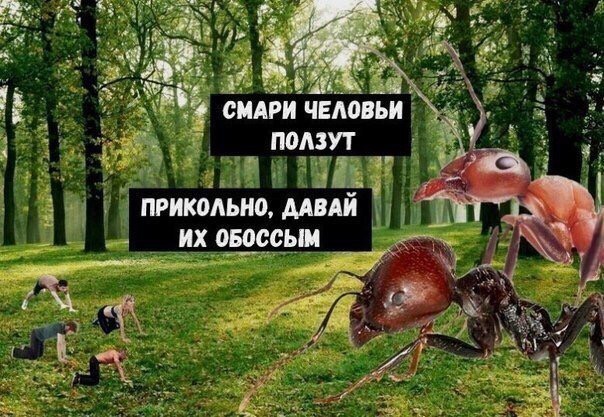 ЯП, помоги опознать тварь!