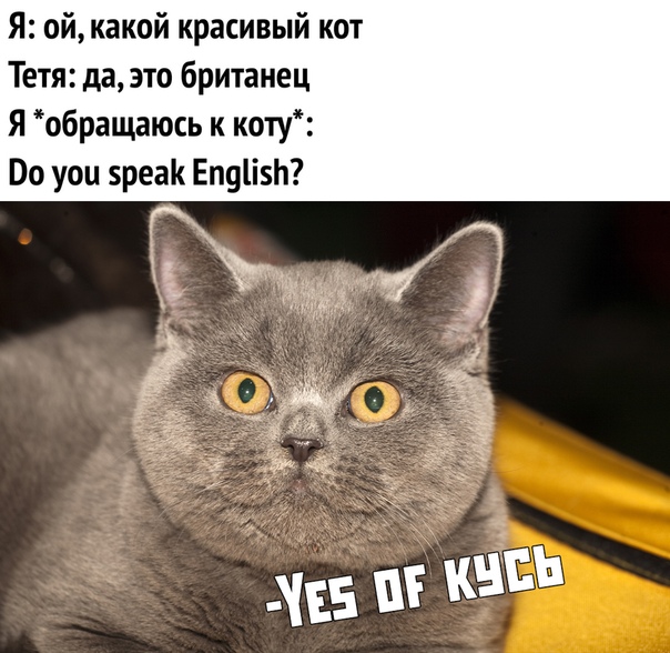 Чуток картинок 02.11.19