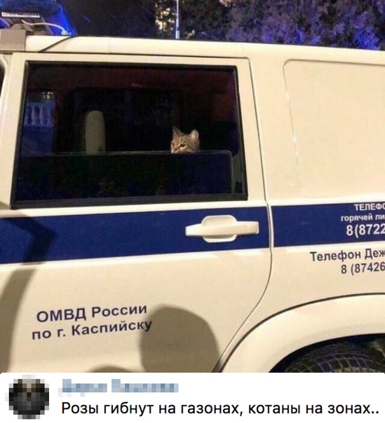 Алкопост! В картинках