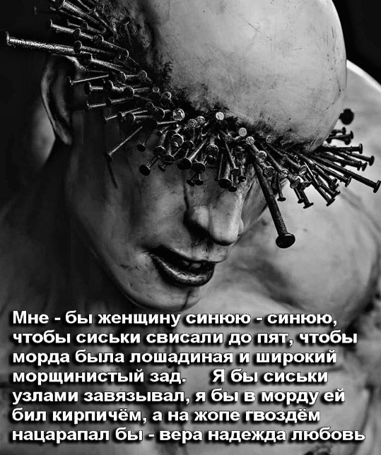 Кошка Мурка едет в дурку