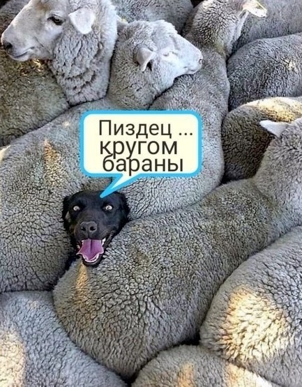 Фрейя Манготра - 10-летняя девочка, у которой IQ выше, чем у Альберта Эйнштейна и Стивена Хокинга