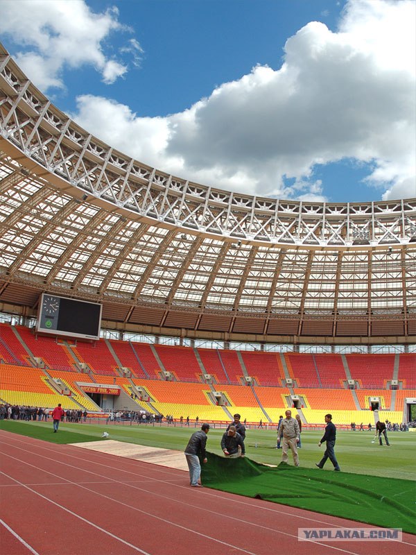 Лига Чемпионов 2008/2009