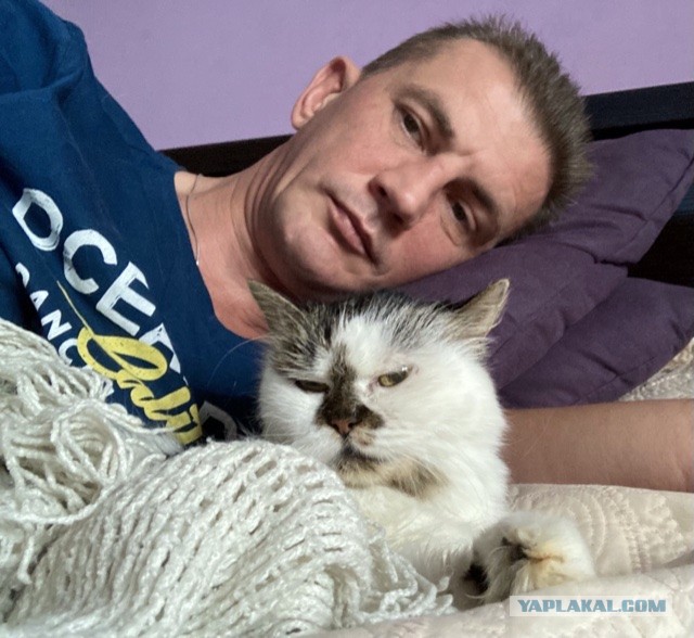 Справедливо ли, что женщины жрут наравне с мужчинами?