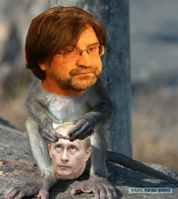 Фотожаба: Грустный мартышко