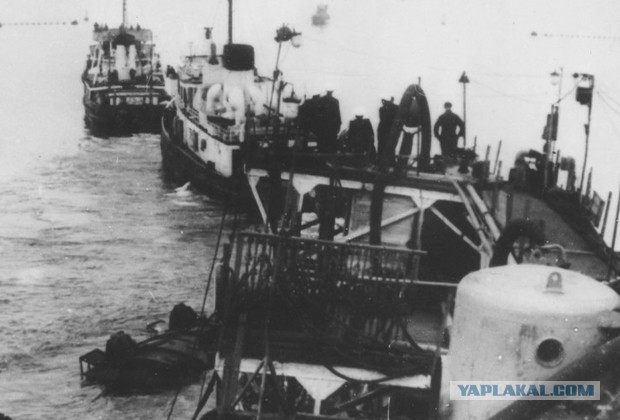 65 лет назад произошла одна из самых страшных морских катастроф в СССР. Кто погубил «Новороссийск»?
