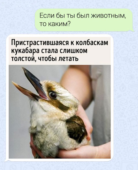 Картинки с надписями фразы и анекдоты
