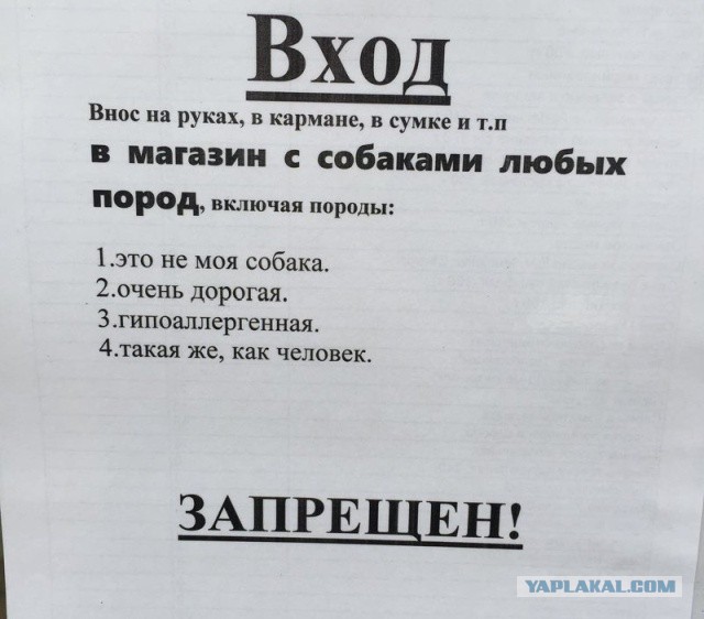 УФСБ. Пьяный начальник в ночном клубе