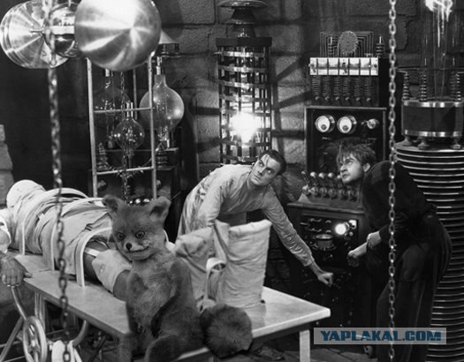 Таксидермия + наркомания