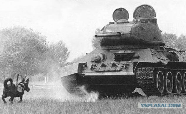 Прошлое, далёкое и не очень - 12