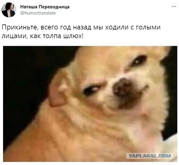 Весёлый полтишок 31.03