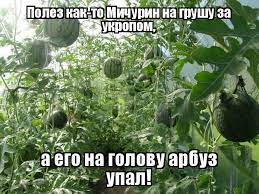 Камазовская рекурсия