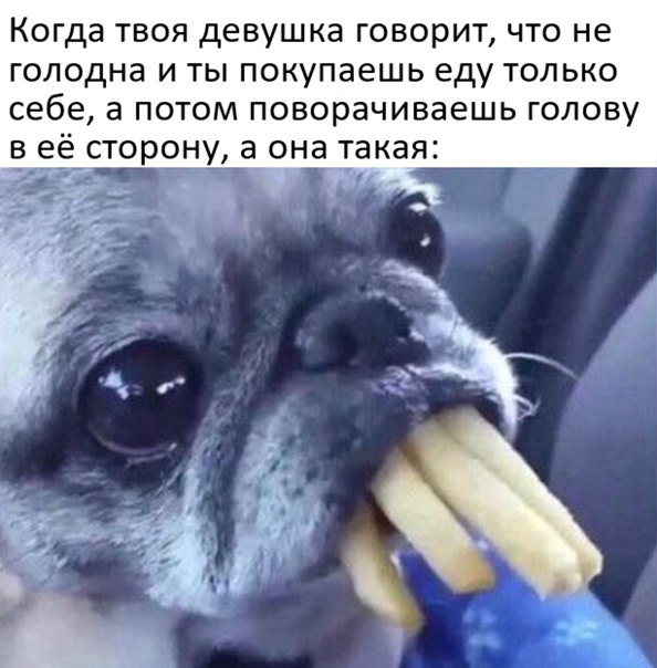 Весёлый полтишок 05.11
