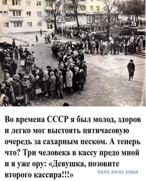 Весёлый полтишок 26.11