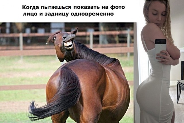 Картинки и мемы, всем хороших выходных