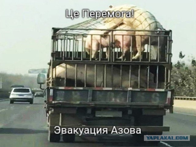 Азов поехал в санаторий