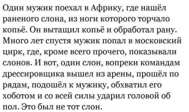 Картинки и мемы для настроения. Выходные рядышком...