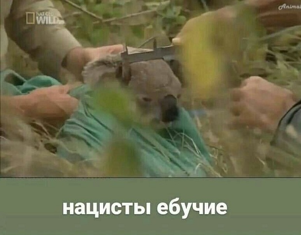 Почему минтай дорогой