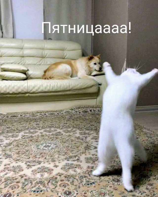 Немного картинок для настроения - 105