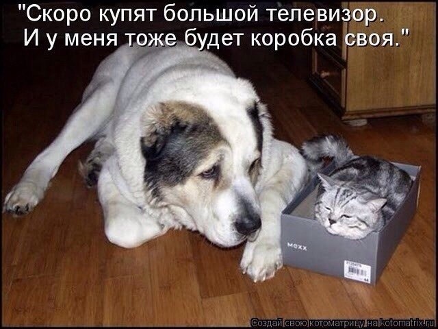 Так себе картинки 17.10.22