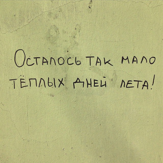 На заборе