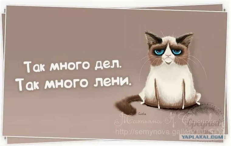 Куча дел