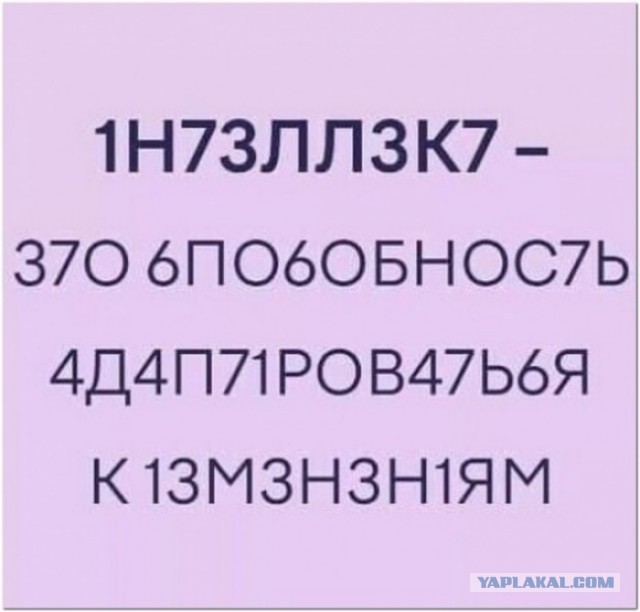 Картинки с надписями (баяны)