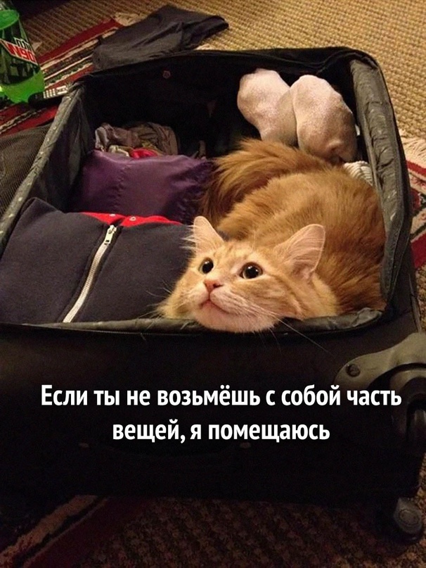 Картинки и мемы, всем хороших выходных