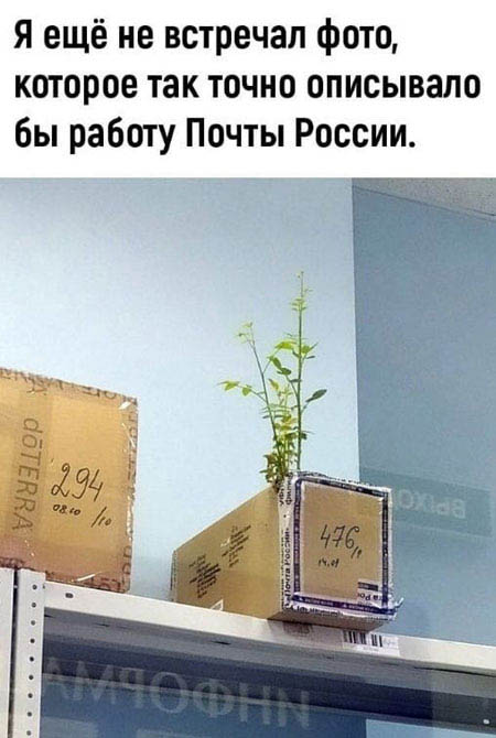 Романы и баяны