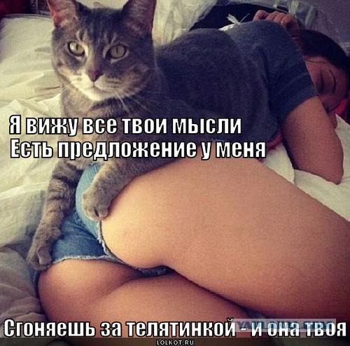 Главный модератор ЯПа