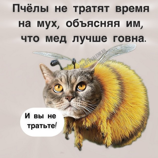 Завалялось тут случайно немного забавных картинок