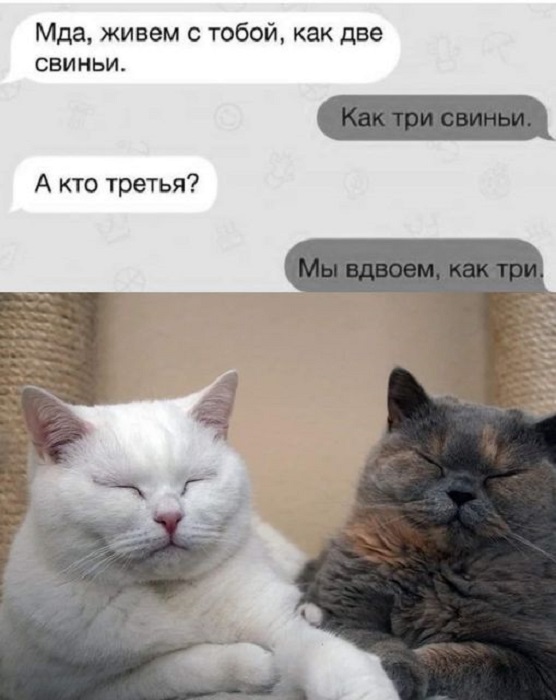 Картинки разные с надписями и без