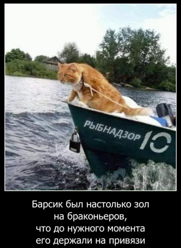 Мои избранные картинки, часть 2