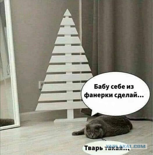 Так себе картинки 21.12.24