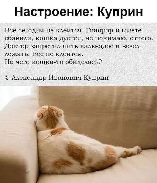 Картинки ниапчём и обо всём