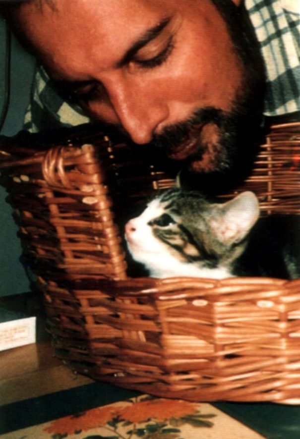 К котовторнику: подборка картинок-баянов с котиками и про котиков. Выпуск 9
