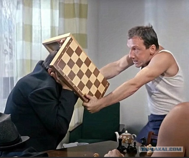 Шахматы