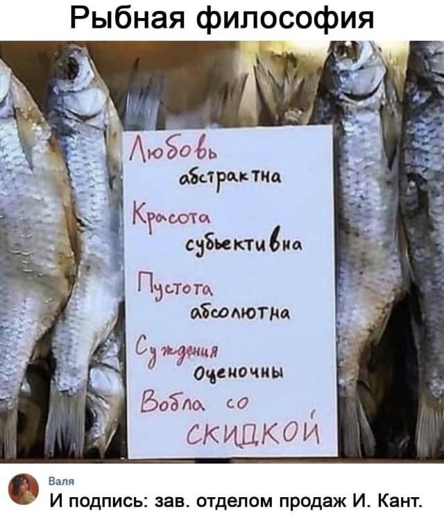 Картинки, веселые и глупые