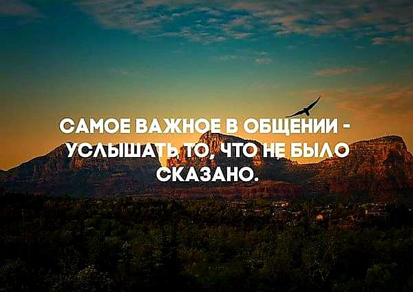 В интернете все смелые