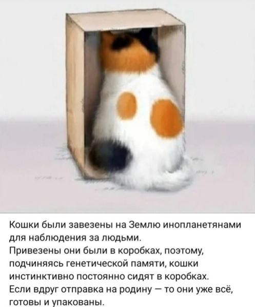 Картиночки, баянчики 24 марта