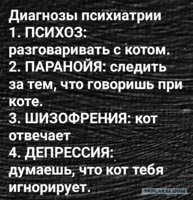 Картинки для деградации 173 (разной степени свежести)