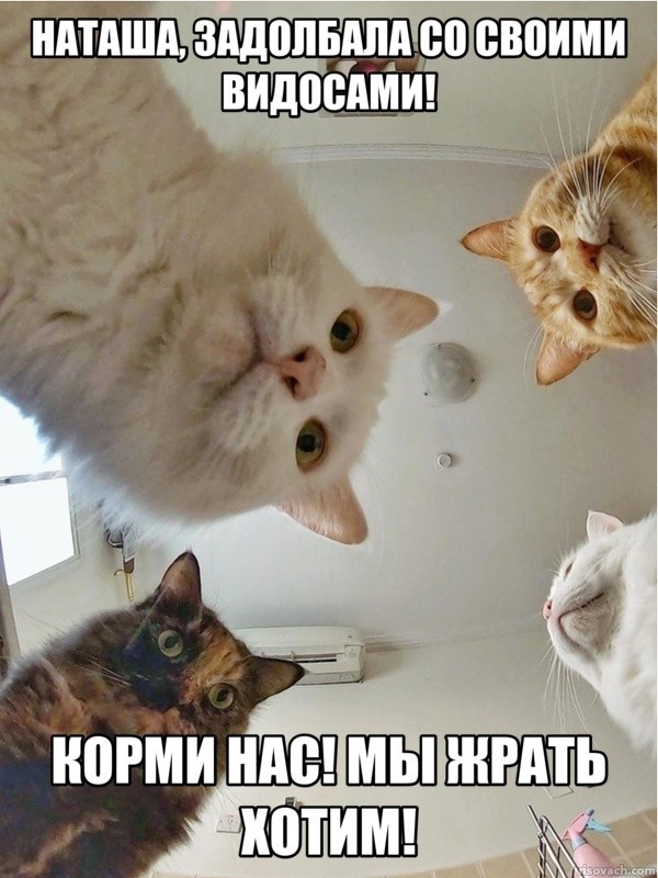 Наташа, 34 активно ищет мужа