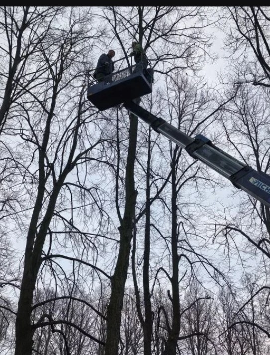 Тысячи жителей Свердловской области остались без света после грозы