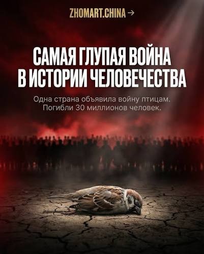 Воробьёв снова пересчитают по всей России