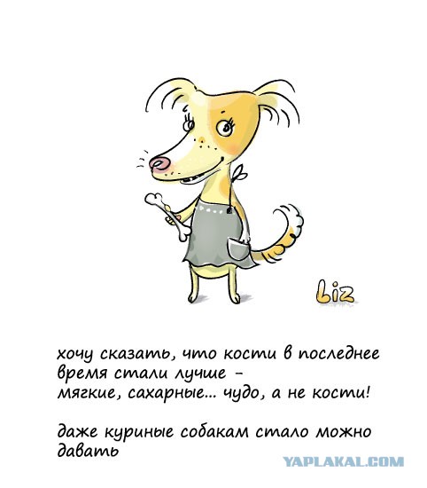 мои персонажи