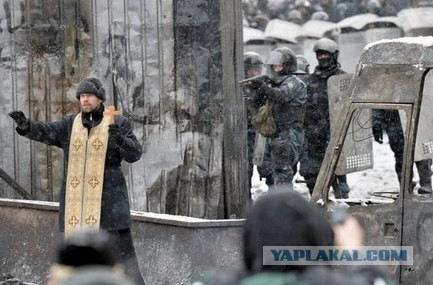 Законы эволюции на майдане.