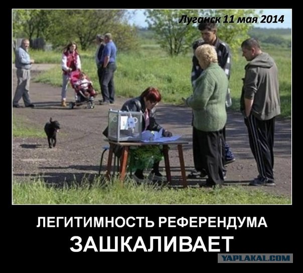 Стопки за/против на референдуме