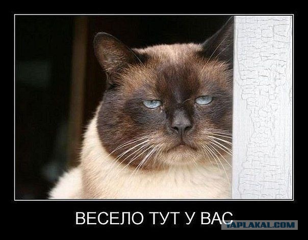 Немного позитива